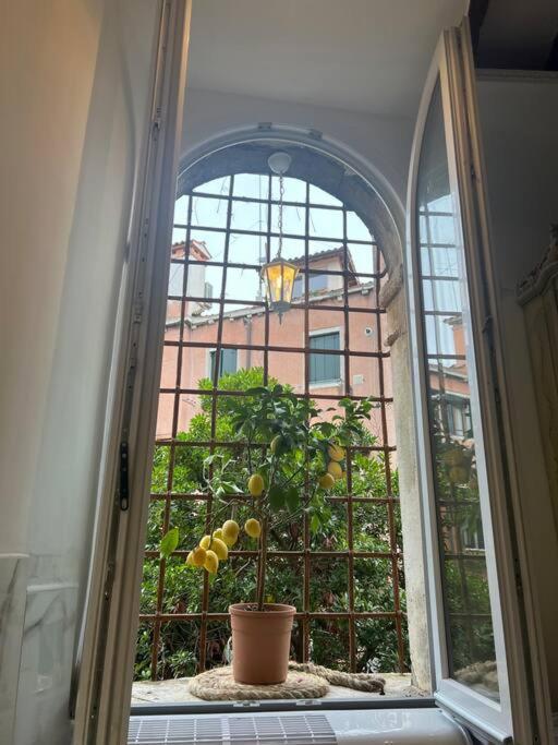 Mariangela Venetian Venice